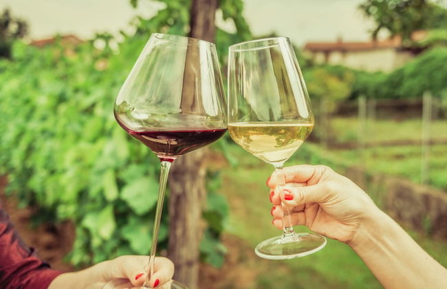 De Zalze Lodge - Foto 63