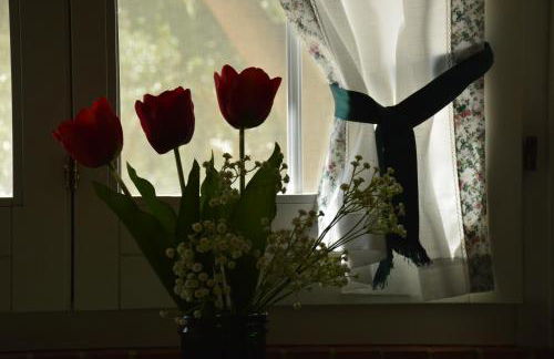 Villa Il Carrubo - Basilicata - Foto 74