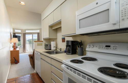 208 Village Gate Studio Bedroom Condo by RedAwning - Foto 26