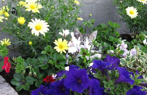 Appartments Neuhof - Photo 72