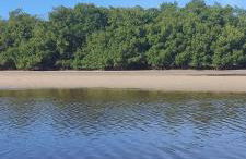 Bella Casa Ipê 1º andar APA Barra de Mamanguape - Photo 36