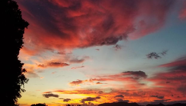 Servicios del alojamiento