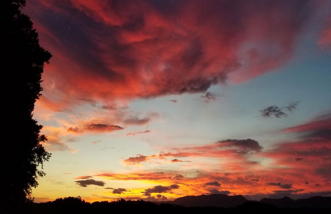 Robert's Retreat - Foto 22