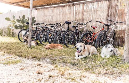 Masseria Prosperi - Photo 32