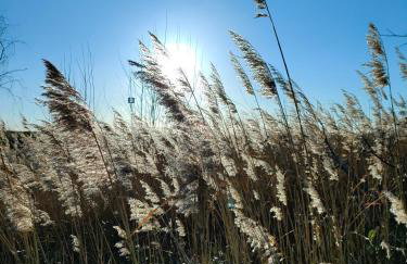 Apartamenty Mistral - Photo 71