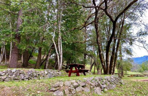 Avenue of the Giants Caraway Cottage (#3) - Foto 23