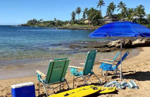 Kuhio Shores 316 - Foto 21