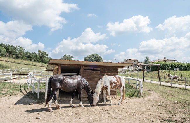 Agriturismo Goccia di Luna - Foto 66