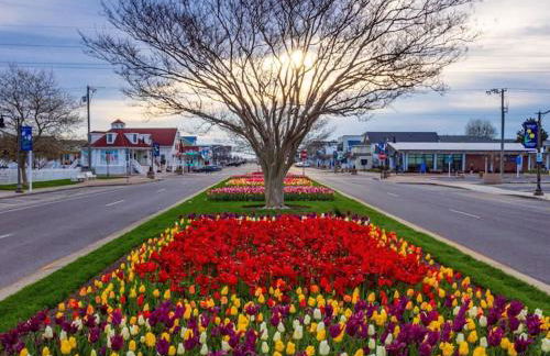 New Bethany Ocean View Condo by the sea 2nd of 2 - Photo 14