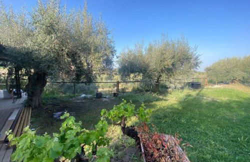 CasaRuibella - Foto 13