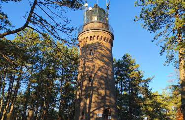 DOMKI RUCHOME PIASKI - Foto 27