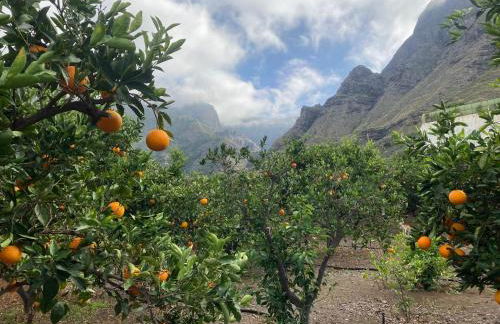 Casa Camino Tamadaba II (bottom home) - Foto 51