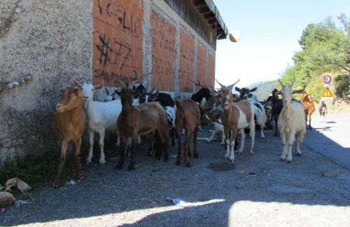 Nostro Rifugio - Foto 62