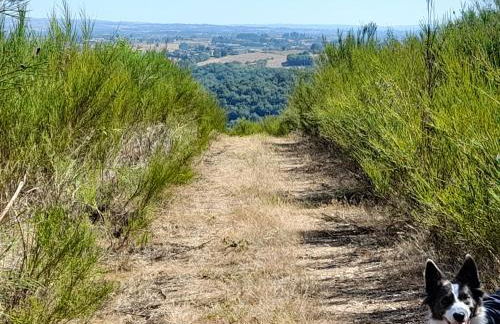 Les Gîtes de Roucayrols - Foto 24