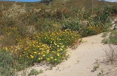 Villa Cipollazzo - Foto 30