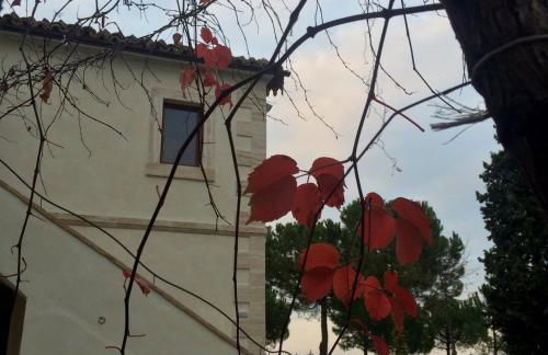 Casale Fonte delle Pietre - Foto 25