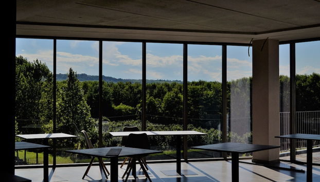 Agriturismo Vitae di Langa - Foto 2, Imagen principal