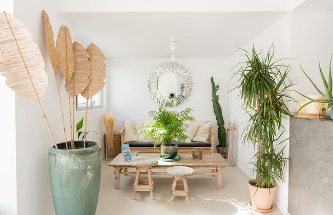 The Olive Boutique Suites and Spa - Foto 3