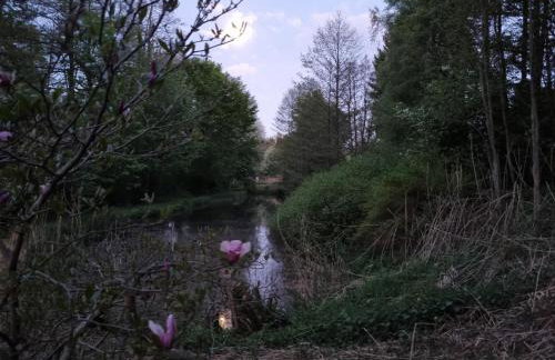 Ferienwohnung Dietel - Foto 36