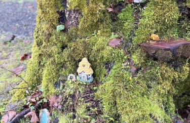 Enchanted Hollow- Cozy, Romantic Woodland Getaway - Photo 24