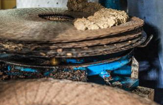 Tenuta San Felice - Foto 46