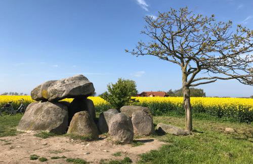 Ferienresidenz am Salzhaff - Foto 54