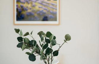 Apartament ACTIV jezioro góry - Foto 7