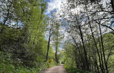 El Hoyaco - Photo 42