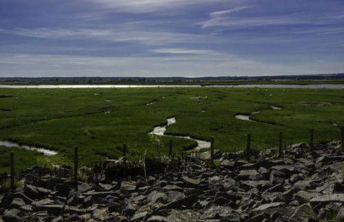 Silver Lodge - Foto 24