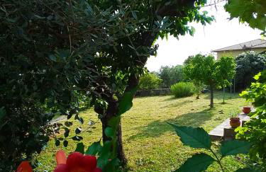 Poderino La Noce - Foto 65