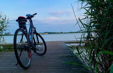 Sunny Apartament PUSTKOWO -SUNNY SIDE BALTIC- - Photo 60