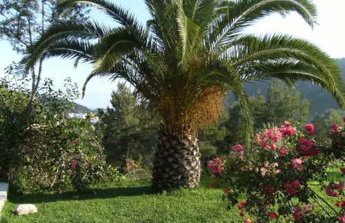 Hotel Rural Can Maries - Foto 16