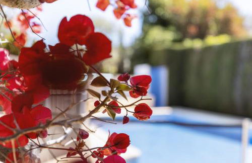 Casa Mitra - Foto 20