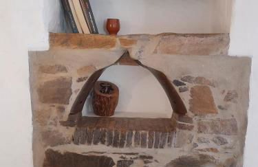 Natur Amêndoa - Foto 57