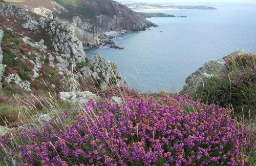 Gîtes Merour - Telgruc - Foto 66