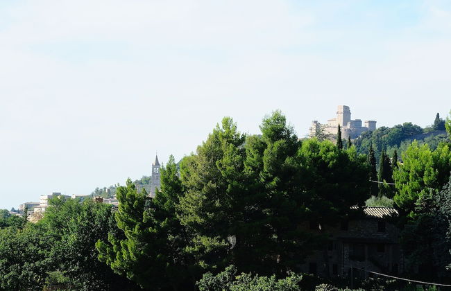 Agriturismo Colle degli Olivi - Foto 49