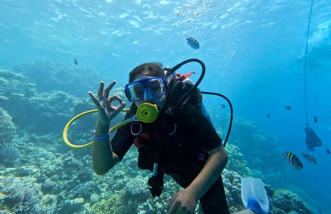 Bautismo de buceo en el Mar Rojo - Foto 13