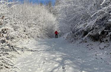 Duszek Lasu - Foto 2