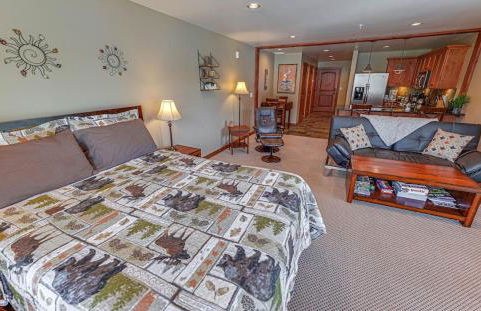 Large Studio Condo with Full Kitchen, Ski, Bike, Beautiful Balcony Views Hottub Fireplace - Foto 14