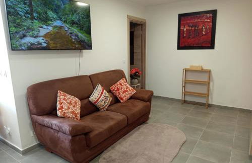 Cosy appartement RDC-terrasse et parking privé - Foto 18