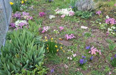 3-Raum Wohnung - Foto 18