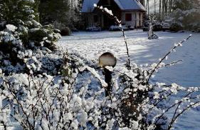 Siedlisko Gruszki Puszcza Białowieska - Foto 2