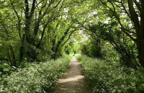 Tudor Rose Cottage - Foto 47