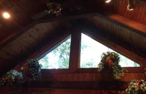 Cherokee mountain log cabin resort - Foto 116