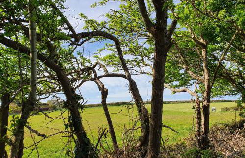 East View Cottage iow - Foto 27