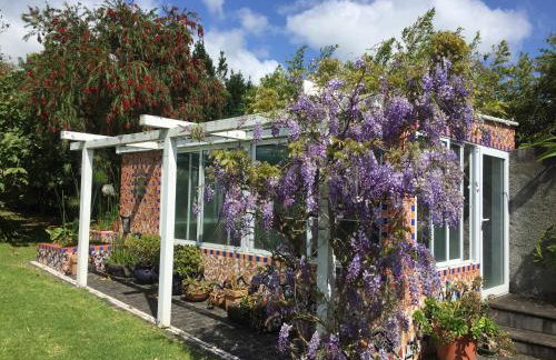 Lobo do Mar - Foto 25