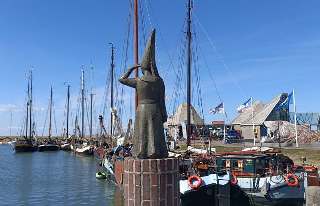 5 bedroom House in Stavoren with garden and terrace - Photo 31