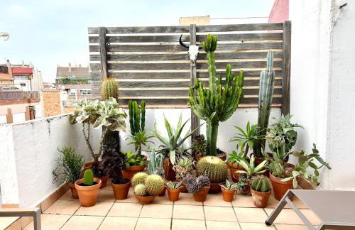 Àtic Trobador - Foto 10