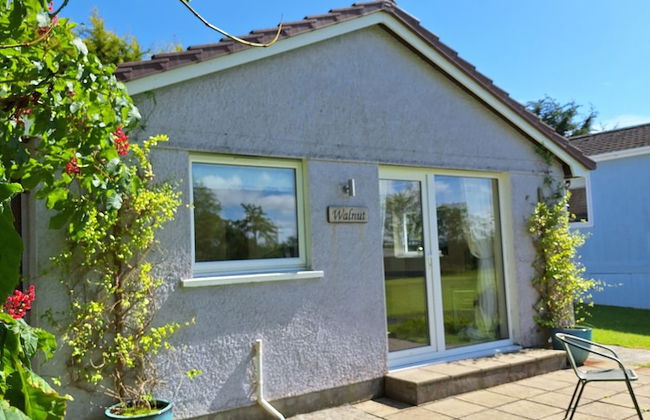 Thornbury Holiday Park - Foto 24