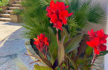 Villa Vinci - Foto 29